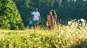 Family walking in a field at Whitemead Forest park